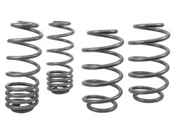 Coil Springs - Lowered WSK-VWN002