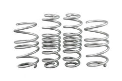 Coil Springs - Lowered WSK-VWN006